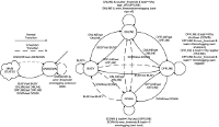 cherub statediagram