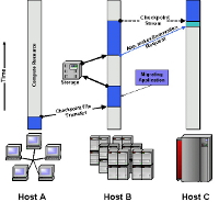 intro migration