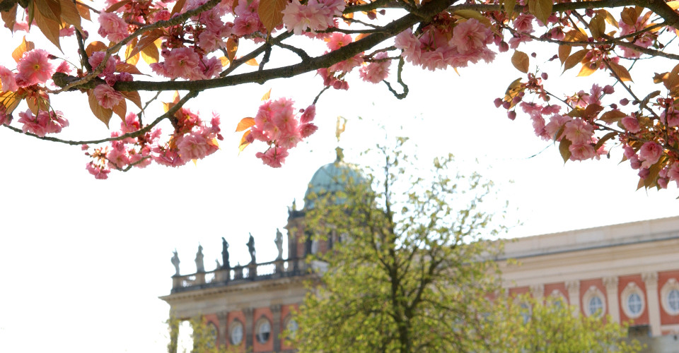 Neues Palais